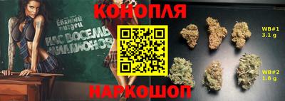 хмурый Шелехов