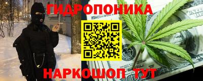 хмурый Шелехов